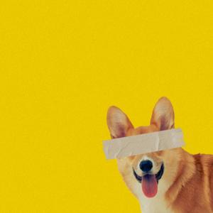 מונולוג על זה שהחיים לפעמים מפתיעים אותך