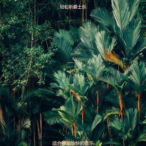 适合酒店离散的音乐