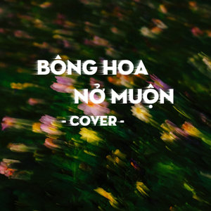 Bông Hoa Nở Muộn (Cover)