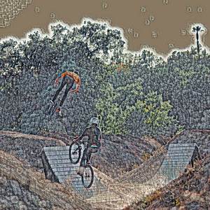 impracticable obstinacy