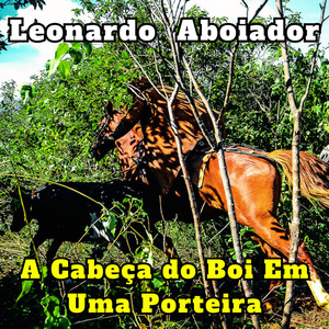 Canção do Lenço (Cover)