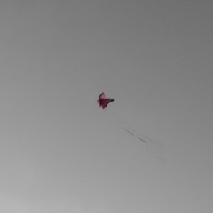 海边钓蝴蝶（demo3）