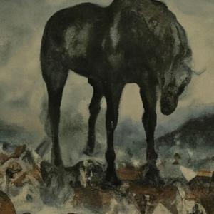 Pony Beach (feat. Jeroen)