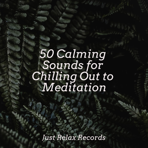 Melodic Reflections of Individuality