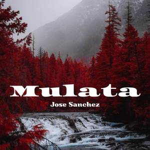 Mulata
