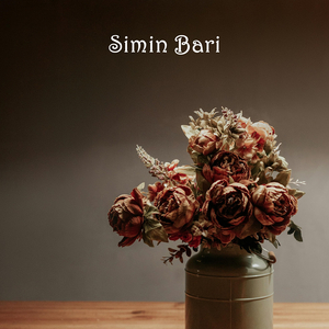 Simin Bari