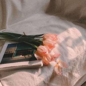 你眼中有山川河流，胜过我行径的所有不朽.