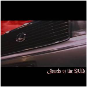 Birkin (Westside Gunn Instrumental)