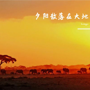 夕阳散落在大地