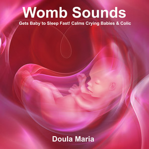 Womb Sounds (Gets Baby to Sleep Fast! Calms Crying Babies & Colic) - Loopable