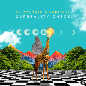 Surreality Check (Original Mix)