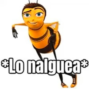 rollito psicodélico