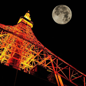 今宵も月に望みて