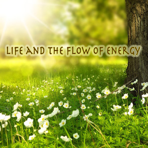 不安からの解放