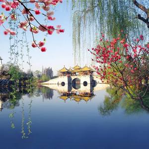 烟花三月（翻自 吴涤清）