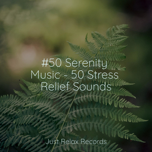 Ethereal Reappearance