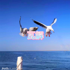 黑猫紧张 (思念版)