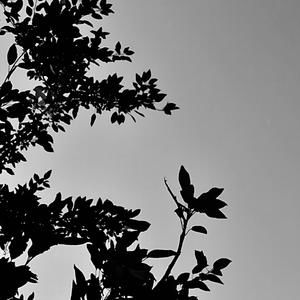 WellWhereIsTheFunInThat?