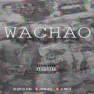 Wachao