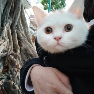 要多勇敢才能翻过这页你