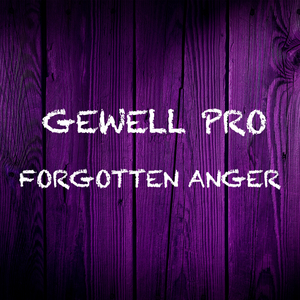 Forgotten Anger (Original Mix)