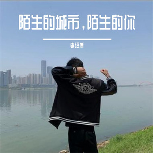 陌生的城市，陌生的你-整曲