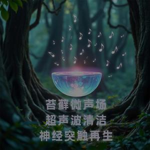 NO.8 海水 大海 雨水 失眠吉他 助眠