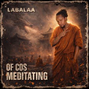 OF COS MEDITATING