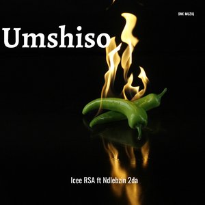 Umshiso