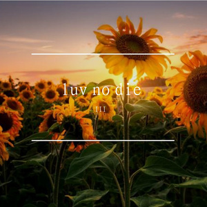 Joe Blazey（sped）