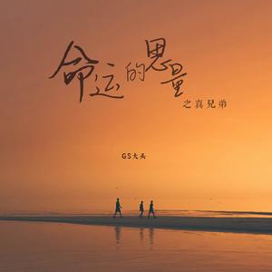 命运的思量之真兄弟