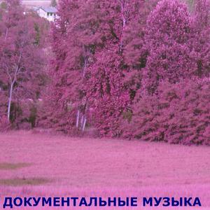 ?????????????? ??????