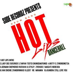 ZVERUDO (feat. STYLEY)