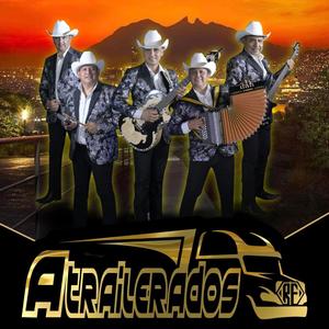 Mariposa De Alas Rotas