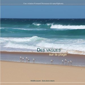 Rouleaux de l'océan