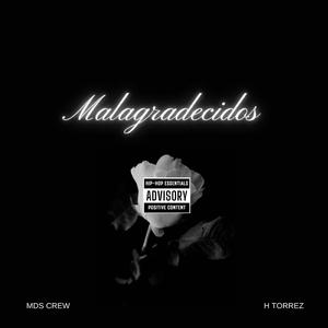 Malagradecidos (feat. Htorrez)