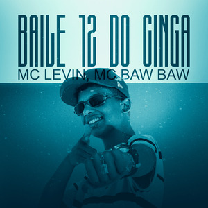 Baile 12 do Cinga (Remix)