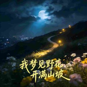 我梦见野花开满山坡