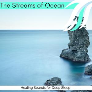 Soothing Rain At Palm Garden