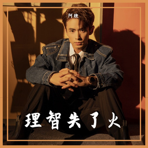 理智失了火 伴奏