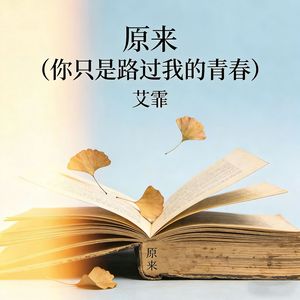 原来 (你只是路过我的青春)