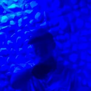 Discotheque Boar