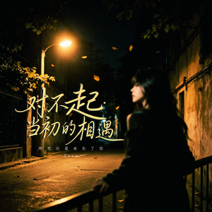 对不起当初的相遇