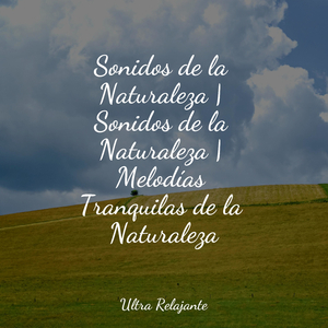 Bosque Durmiente