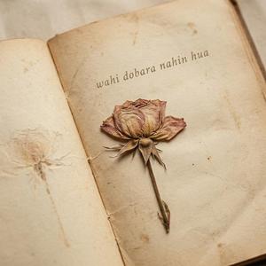 Tum Dobara Waise Nahin Mile