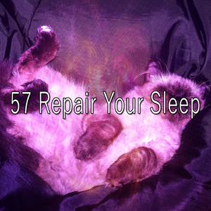 The Old Rocking Chair