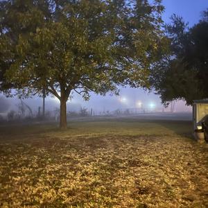 back 2 reality (feat. xasteria)