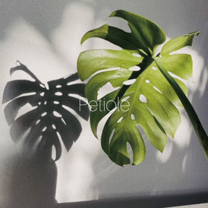 Petiole