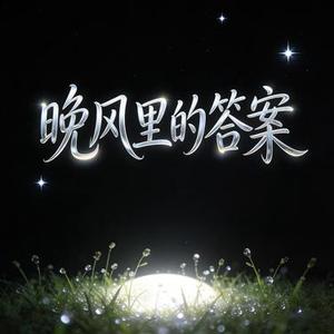 晚风里的答案