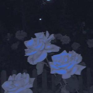 白春杨-海绵宝宝（陈沉宸 remix）